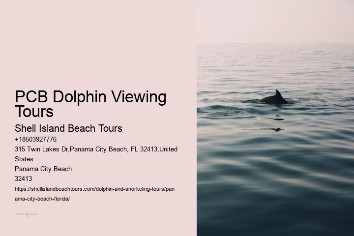 PCB Dolphin Viewing Tours
